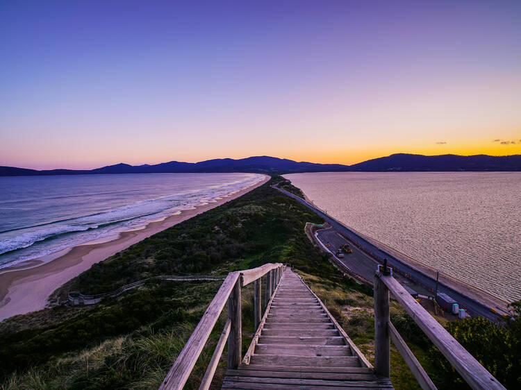 The Neck, Bruny Island, TAS