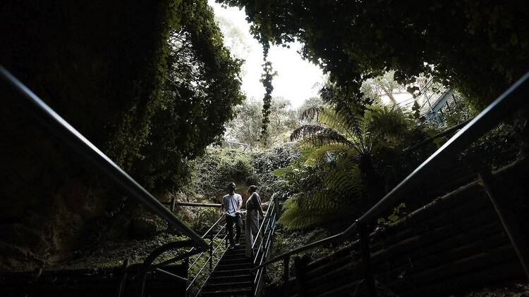 Discover the secrets of the underground world at Engelbrecht Cave