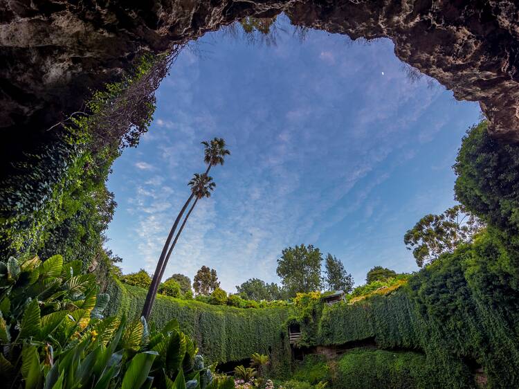 View of sky from bottom of Umpherston Sinkhole