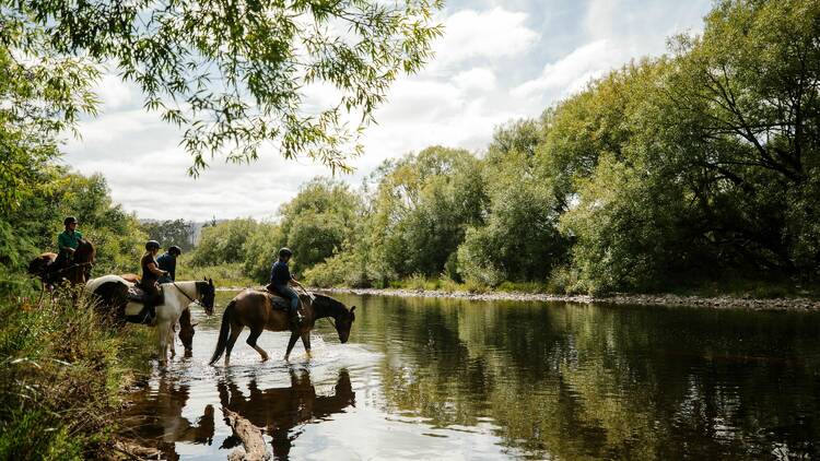 Save your legs with a horseback tour