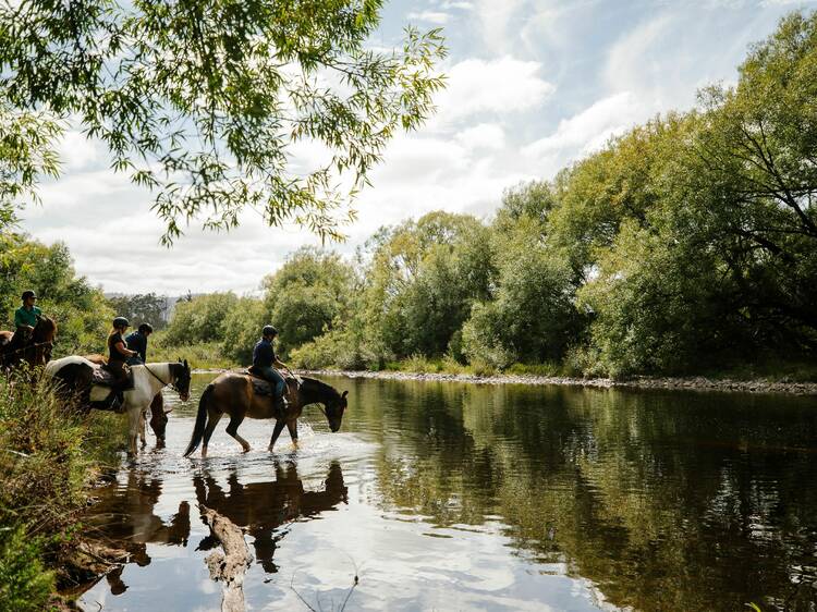 Save your legs with a horseback tour