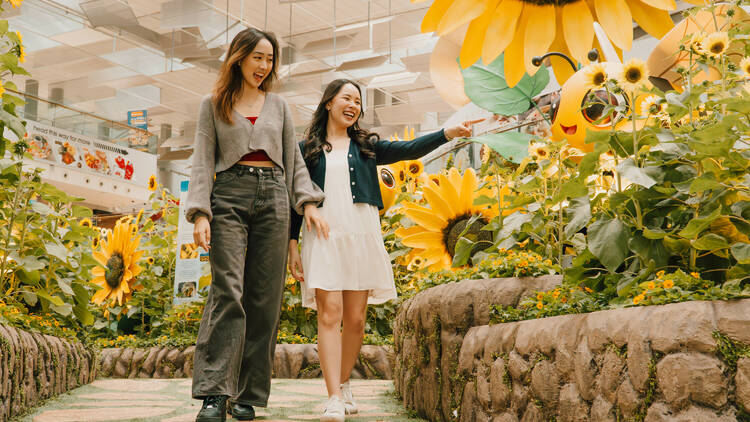 A Sunflower Sojourn at Singapore Changi Airport