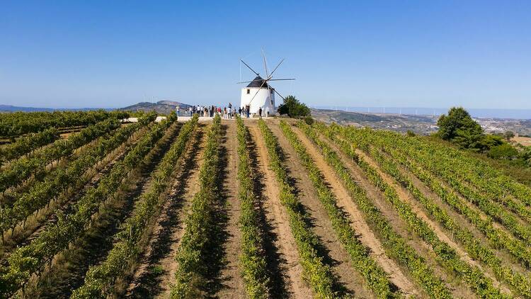 Quinta da Folgorosa