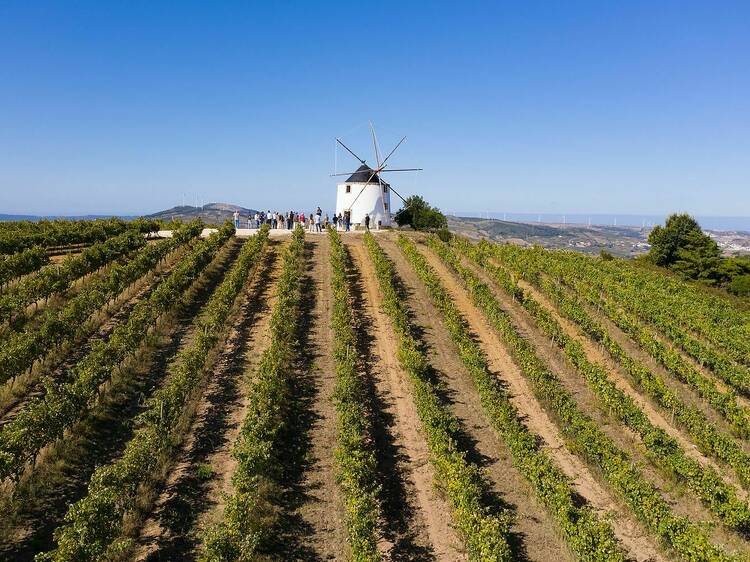 Quinta da Folgorosa