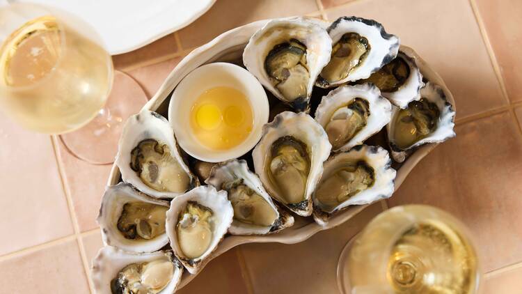 Oysters at Pino's Vino e Cucina al Mare