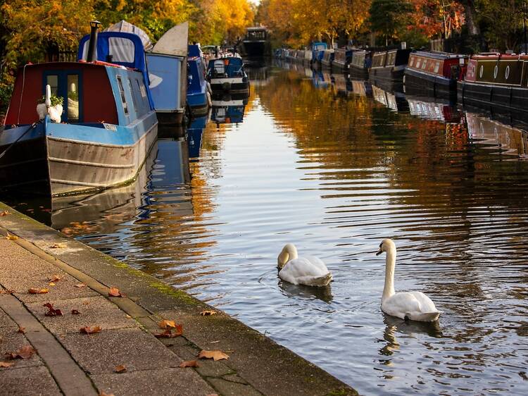 Perfect autumnal days out in London