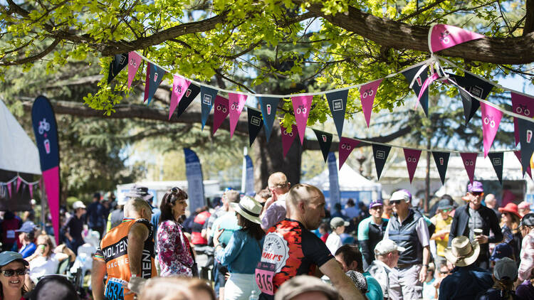 street festival in Wagga Wagga