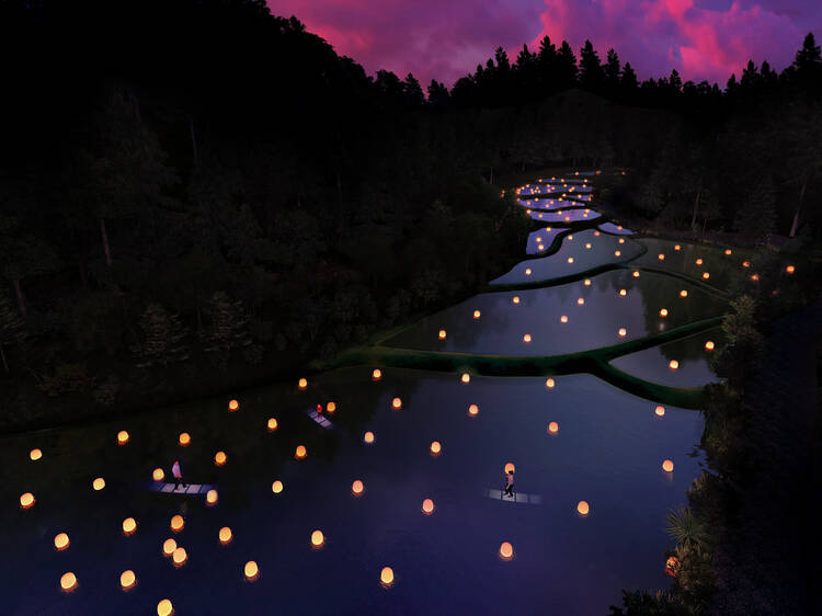 teamLab is opening a new permanent exhibition at a rice terrace in Ibaraki