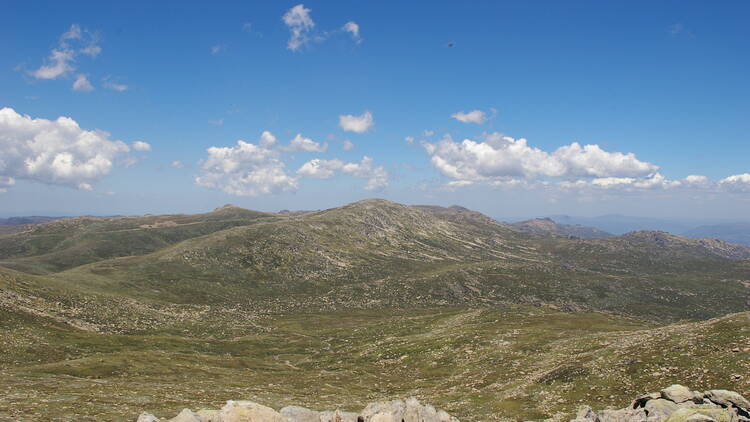 Mount Kosciuszko