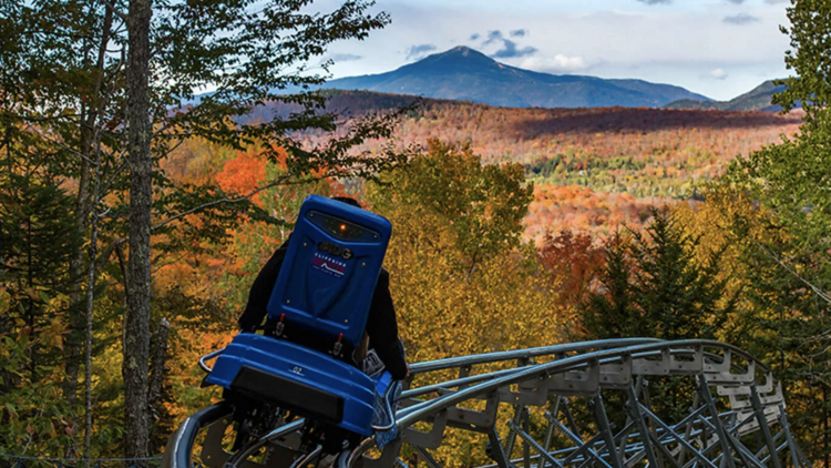 Cliffside Coaster in Lake Placid