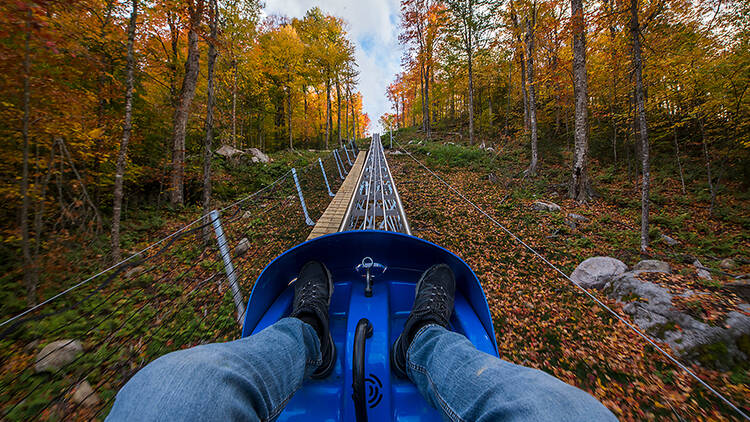 The Cliffside Coaster