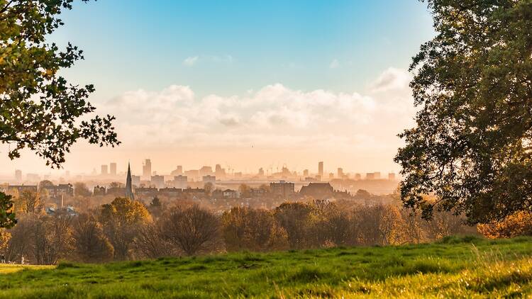 Hampstead Heath