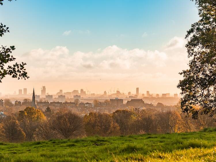 Hampstead Heath