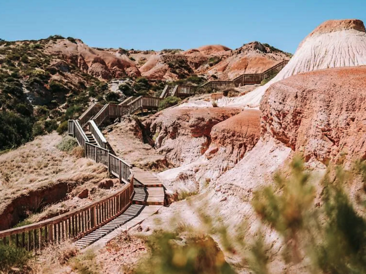 Stretch your legs on the Hallett Cove Boardwalk