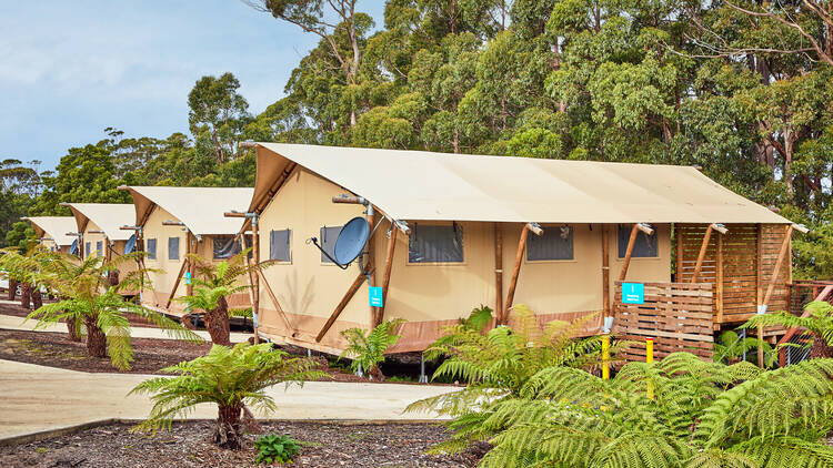 NRMA Port Arthur Holiday Park