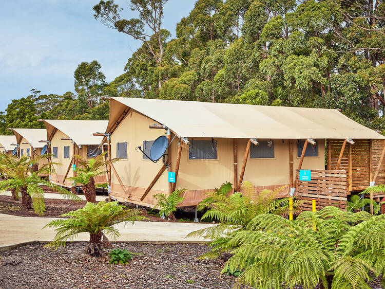 NRMA Port Arthur Holiday Park