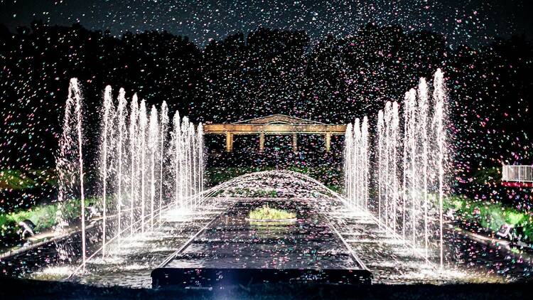 Bubblemination at Jindai Botanical Gardens