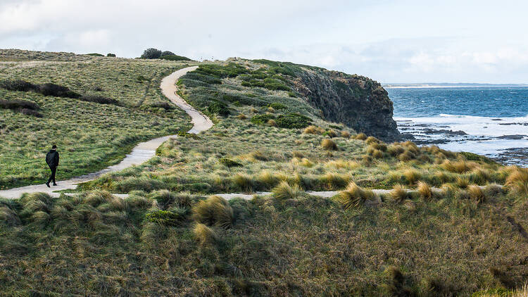 A person walking along a coastal trail.