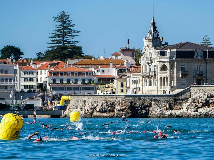 Swim Gran Prix comes to Cascais for a weekend of competition