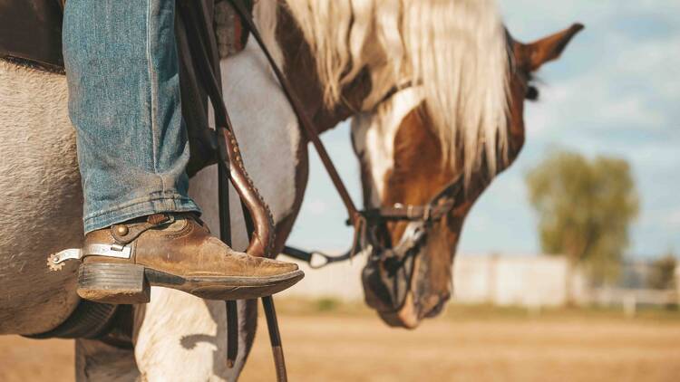 Learn rodeo techniques from Chicago cowboys