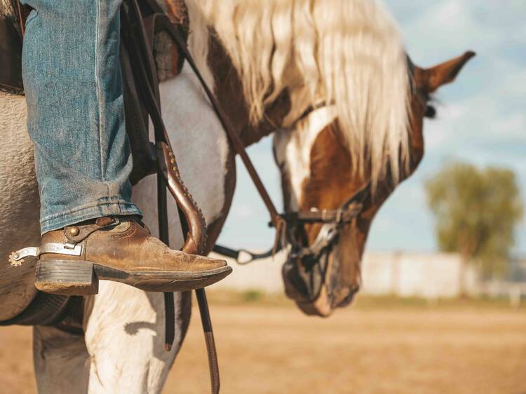 Learn rodeo techniques from Chicago cowboys