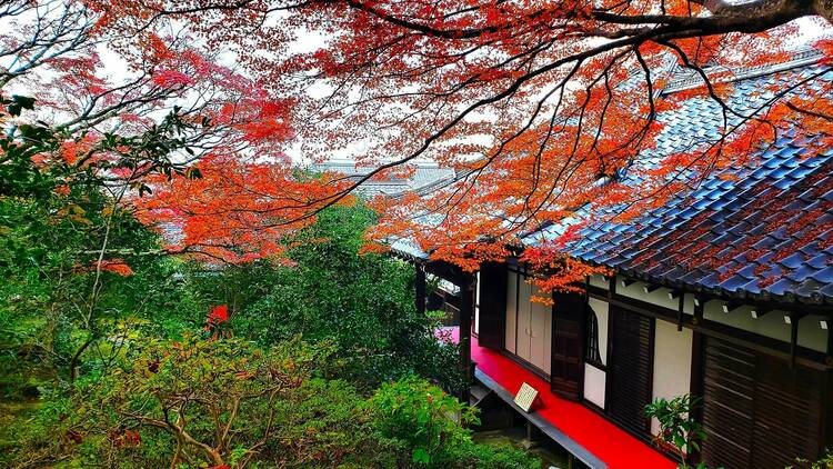 Reikanji Temple, Kyoto