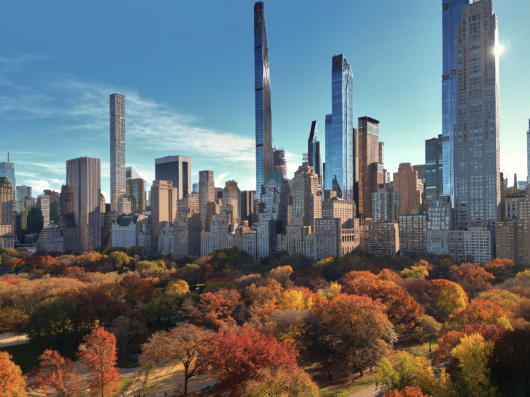 Fall leaves in NYC