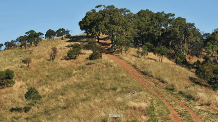 Black Hill Summit Track