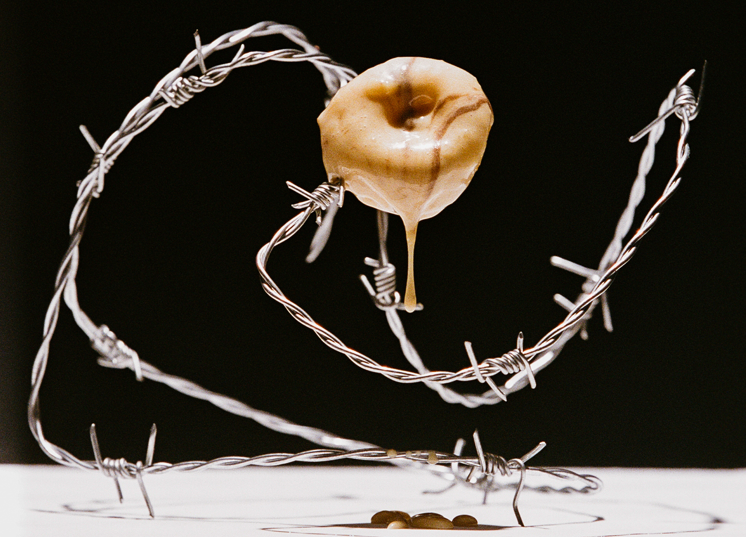 A studio photograph of a donut with barbed wire.