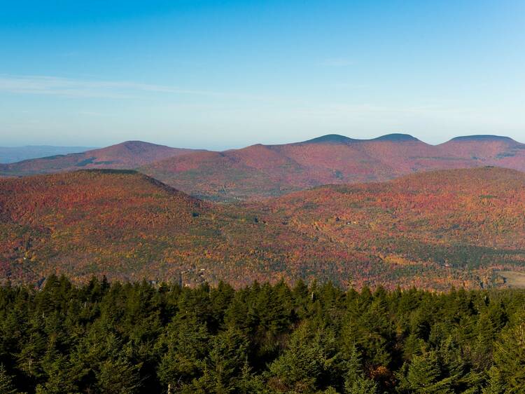 The Catskills