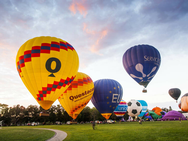 Hot air balloons taking off at Canberra Balloon Spectacular 