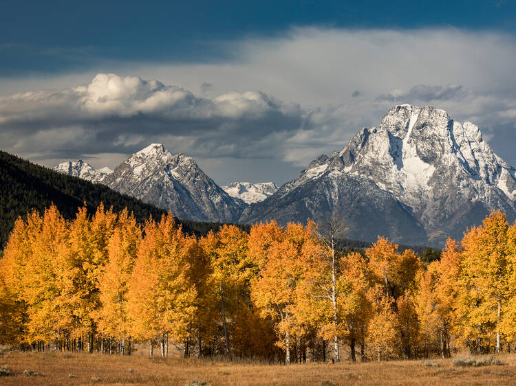 Grand Teton National Park, WY