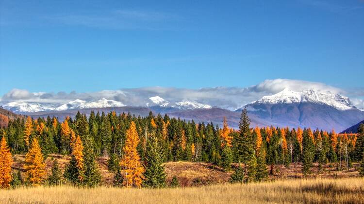 Glacier National Park, MT