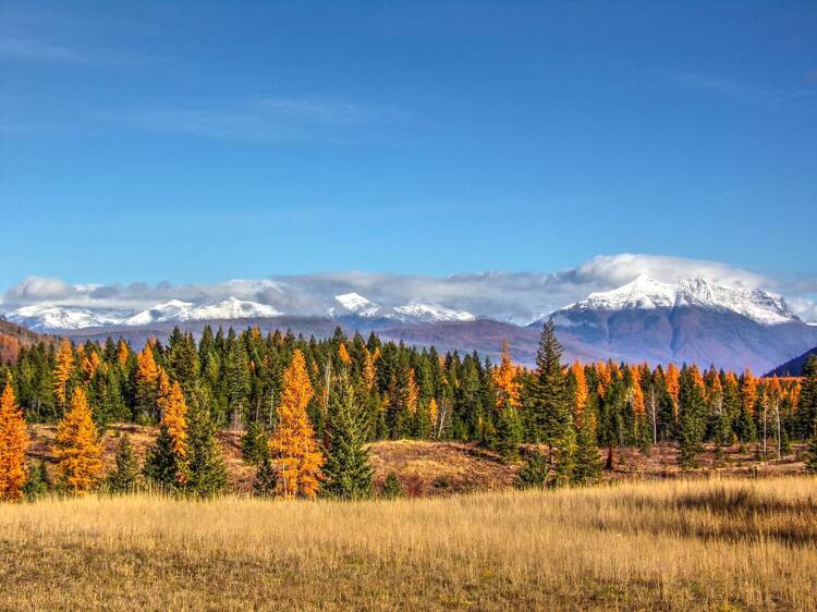 Glacier National Park, MT