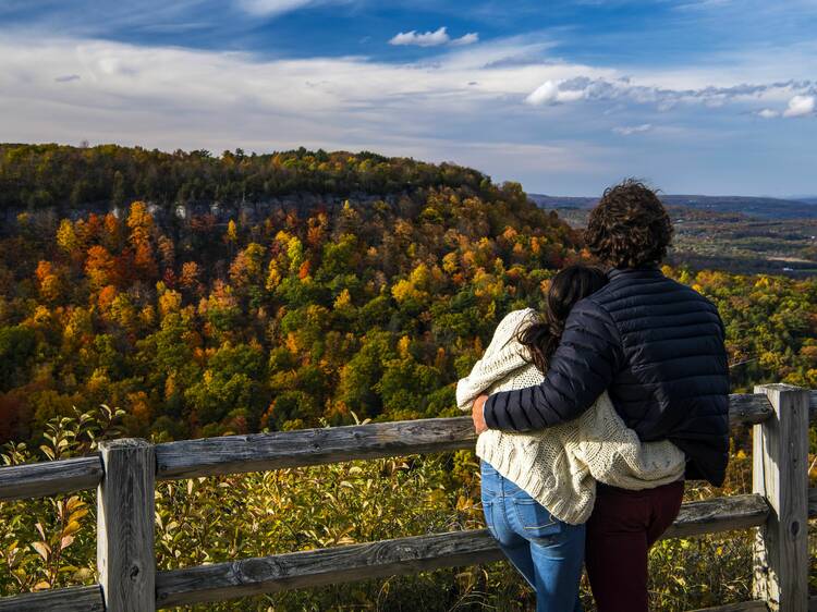 fall in the Capital-Saratoga region of NY