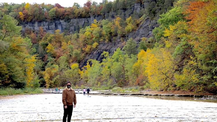 The Finger Lakes