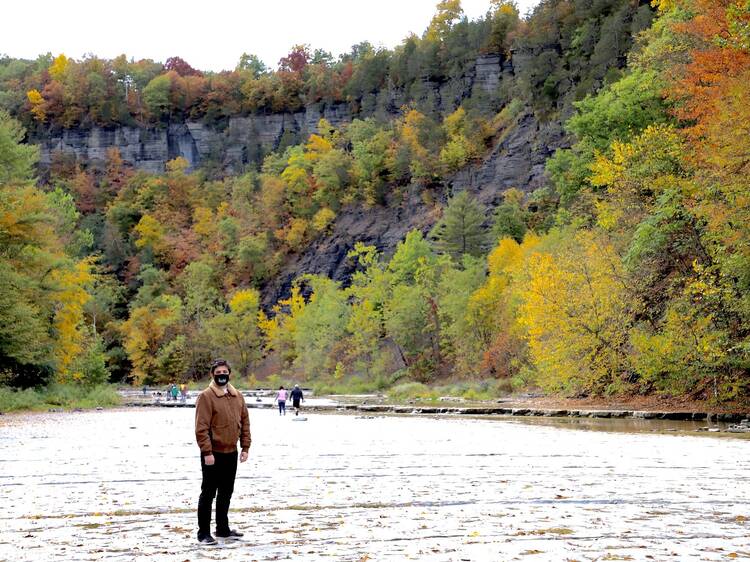 The Finger Lakes