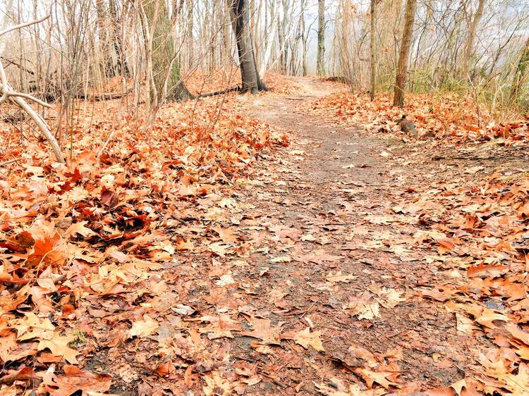 Van Cortlandt Park, The Bronx