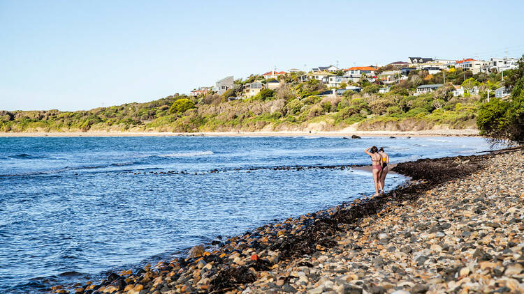 Swimmers at Back Beach, Devonport 