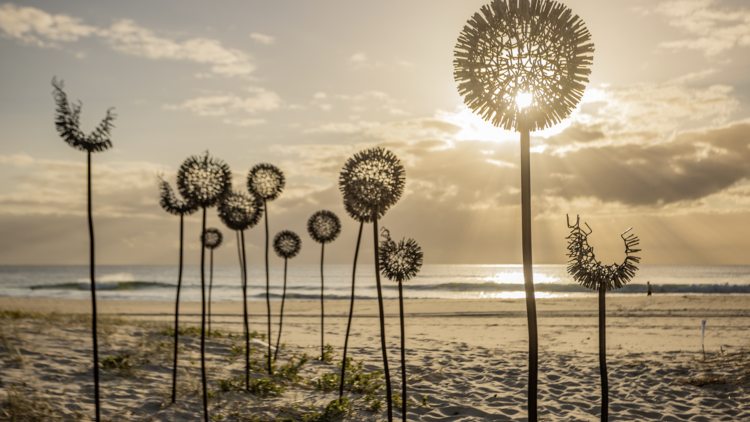 Dandelion sculptures