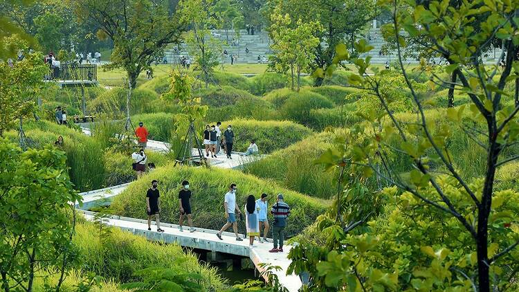 Explore the city’s only forest park