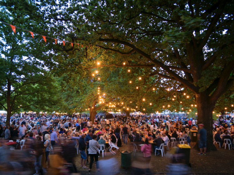 Outdoor festival under fairy lights