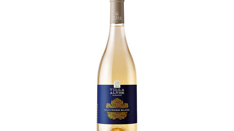 VILLA ALVOR SINGULAR SAUVIGNON BLANC VILLA ALVOR SINGULAR SAUVIGNON BLANC