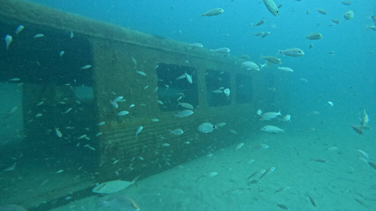 MARTA rail cars coral reef