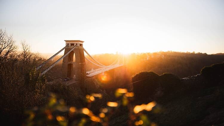 Photograph: Shutterstock