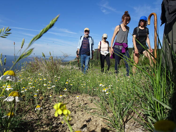 Al compás de los paisajes