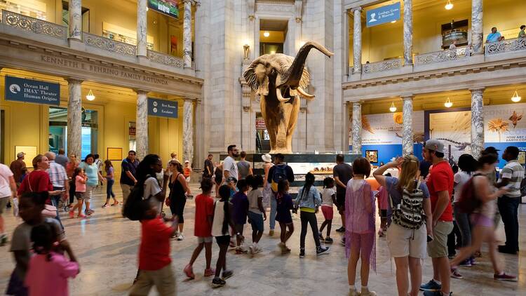 Visitors at the Main Hall of the National Museum of Natural History in Washington, D.C.