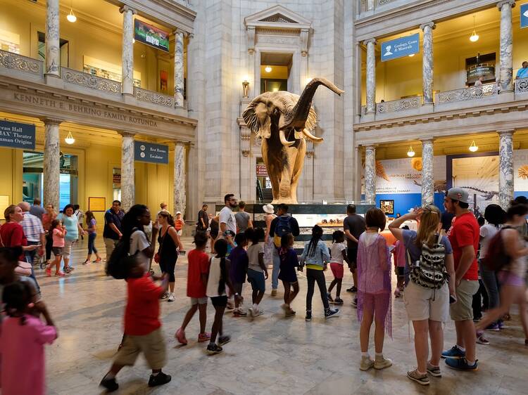 National Museum of Natural History