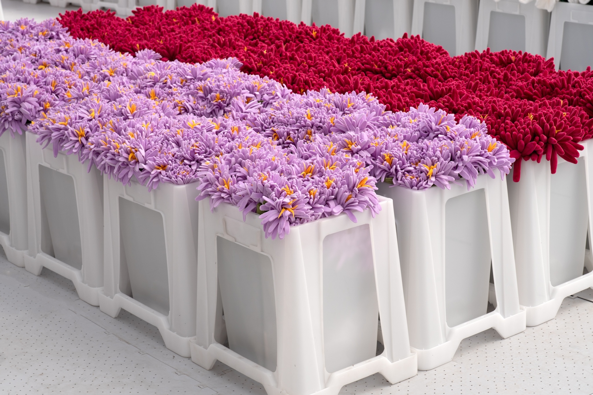 A collection of plush purple and red flowers.