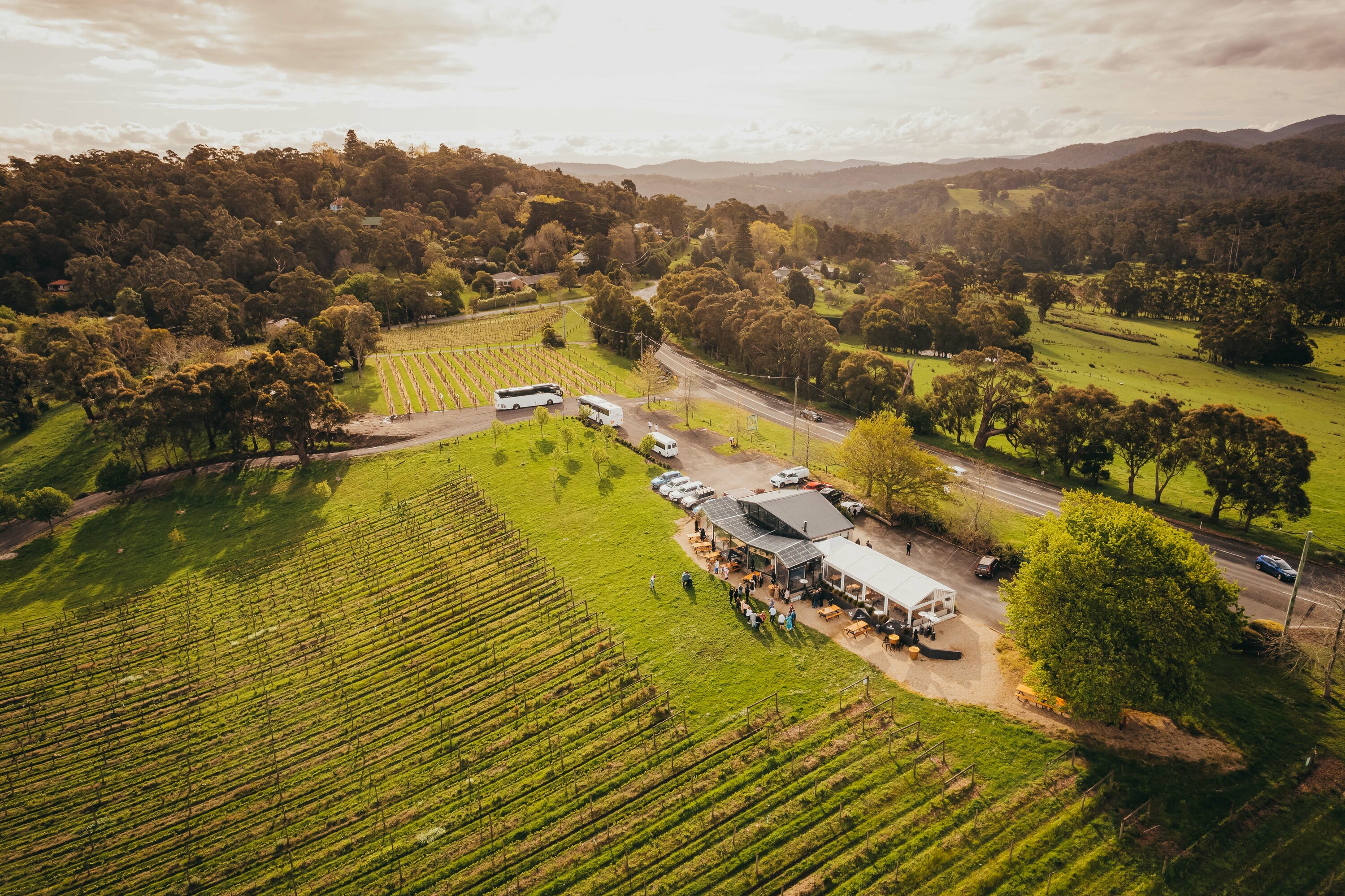 Willow Creek Winery Tasting And Tours Cape May Tripadvisor Willow